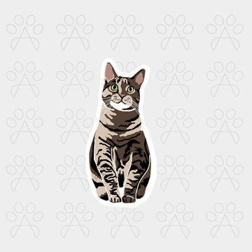 CAT STICKER